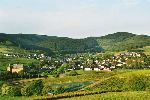 dorf_2.jpg
